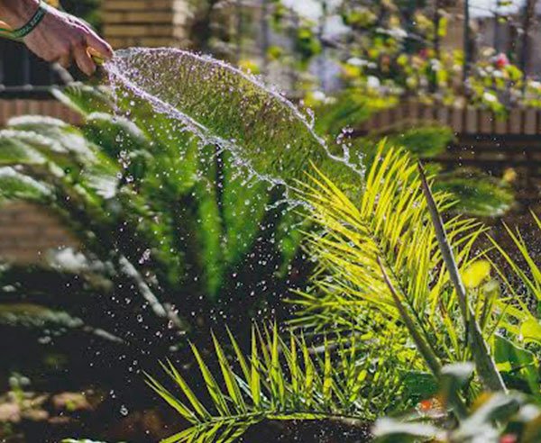 Garden-maintenance