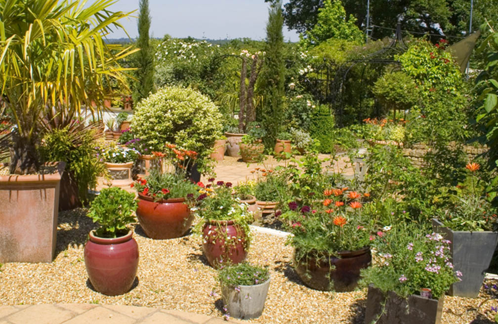 garden